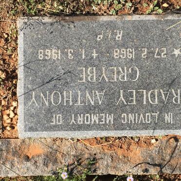 GREYBE Bradley Anthony 1968-1968