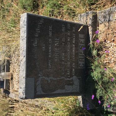 GRIESEL Drienie 1966-1967