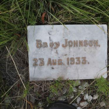 JOHNSON 1933-1933
