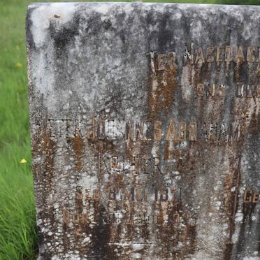 KRUGER Pieter Johannes Abraham 1871-1935 &amp; Anna Dorothea LUBBE 1874-1954