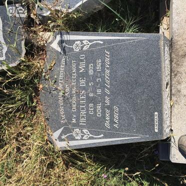 MILO Hercules, de 1905-1966 &amp; Eastlynne Morova VAN ZYL 1921-2001