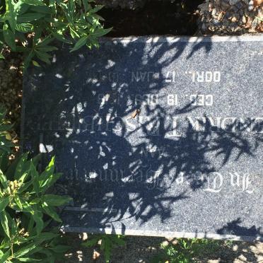 RISCHBIETER Hendrik T. 1919-1966
