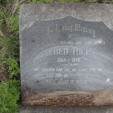 RICE Fred 1864-1948