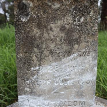 STRYDOM  1931-1931