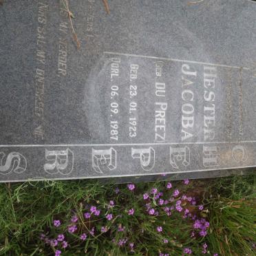 SCHEPERS Gerrit Willem Hendrik Frederik 1919-1992 &amp; Hester Jacoba DU PREEZ 1923-1987