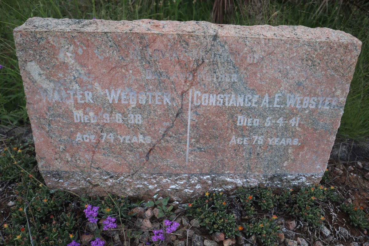 WEBSTER Walter -1988 & Constance A.E. -1941