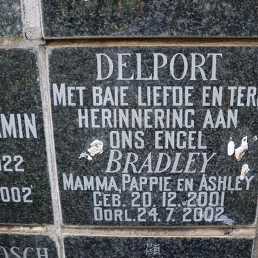 DELPORT Bradley 2001-2002