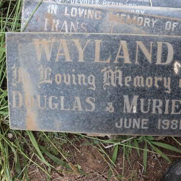 WAYLAND Douglas -1981 &amp; Muriel -1981