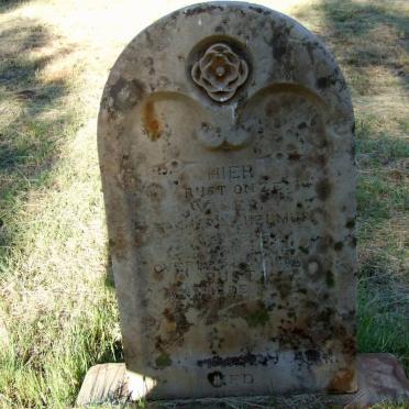 WESSELS Johannes Wilhelmus 1825-1901