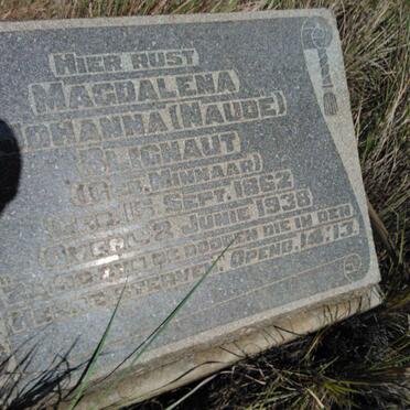 Free State, BETHLEHEM district, Clarens, De Brug 1243, farm cemetery