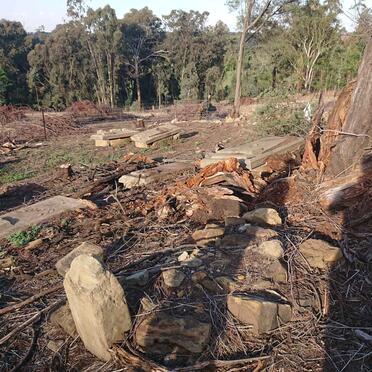 1. Overview / Oorsig