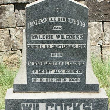 Free State, BETHLEHEM district, Golden Gate Highlands National Park, Van Reenen family grave yard