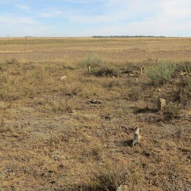 2. Overview / Oorsig