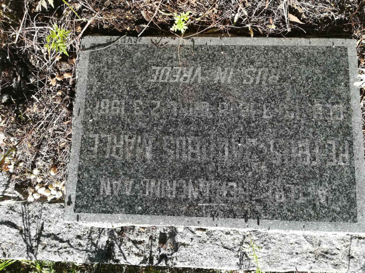 MAREE Petrus Jacobus 1878-1961