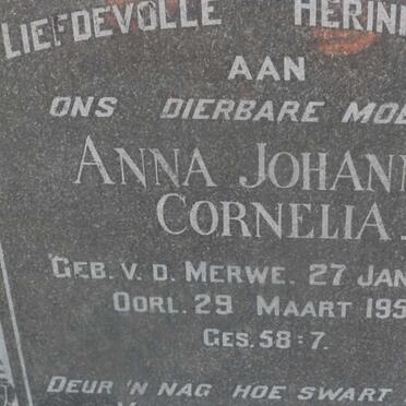 HATTINGH Johannes Michiel 1873-1952 &amp; Anna Johanna Cornelia V.D. MERWE 1882-1955