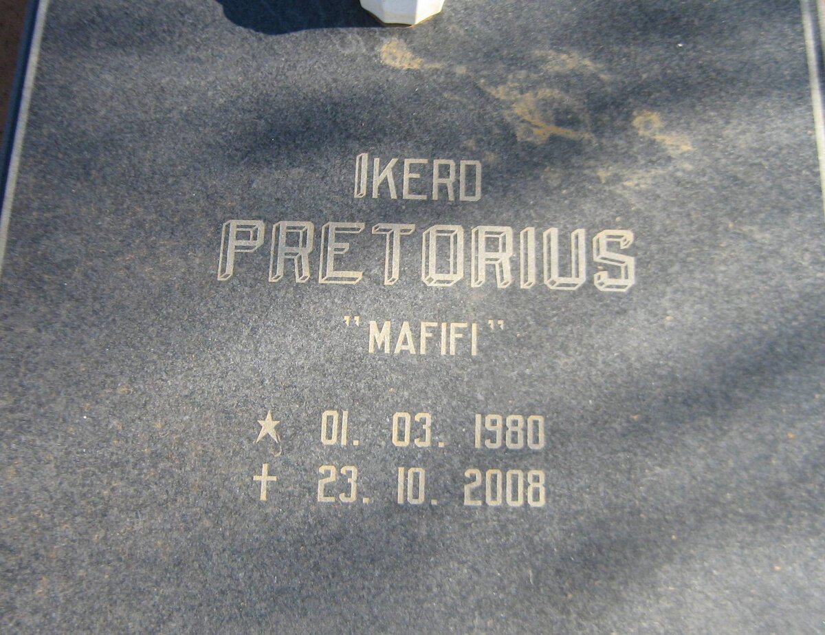 PRETORIUS Ikerd 1980-2008