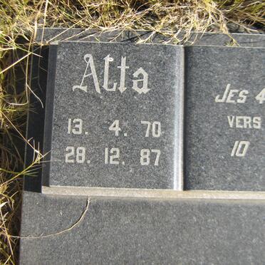 PITOUT Alta 1970-1987