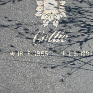 ? Callie 1965-1997