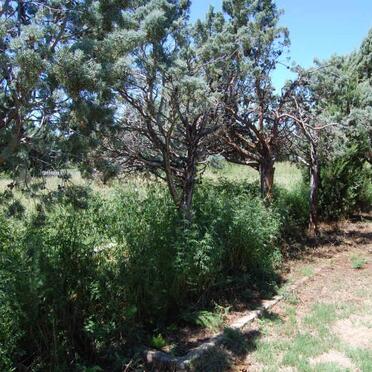 1. Entrance to Brandfort Cemetery
