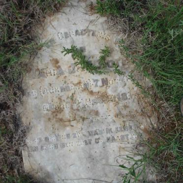 BOTES Maria J. nee ACKERMAN  1896-1918