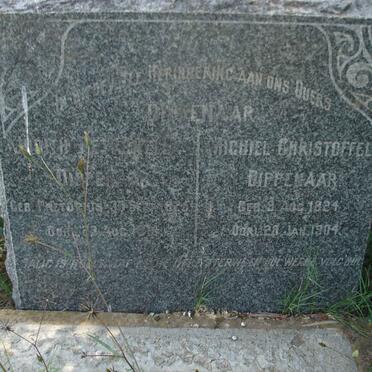 D - Vanne :: Surnames - D