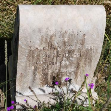 MAREE Rachel Susanna nee VICTOR