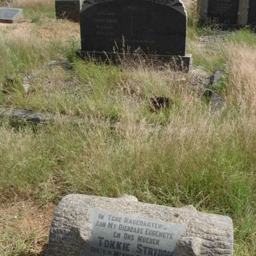 STRYDOM Tokkie nee VAN DER MERWE 1912-1953