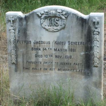 SCHEEPERS Petrus Jacobus 1881-1918