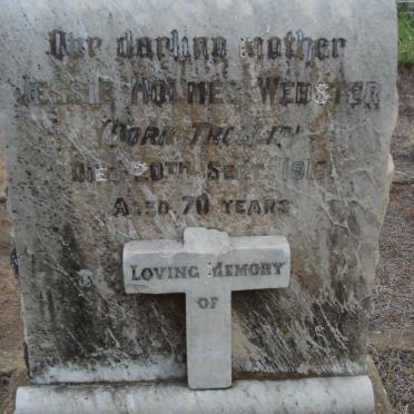 WEBSTER Jessie Holmes nee TROLLIP -1916