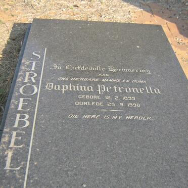 STROEBEL Daphina Petronella 1899-1990