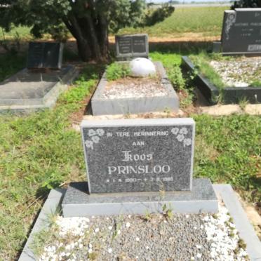 PRINSLOO Koos 1900-1985
