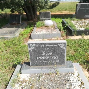 PRINSLOO Koos 1900-1985