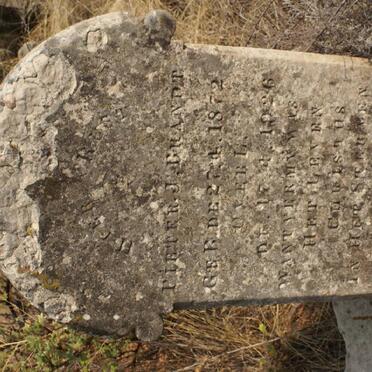 BRANDT Pieter J. 1872-1926