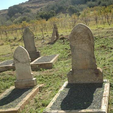 1.  Overview / Oorsig