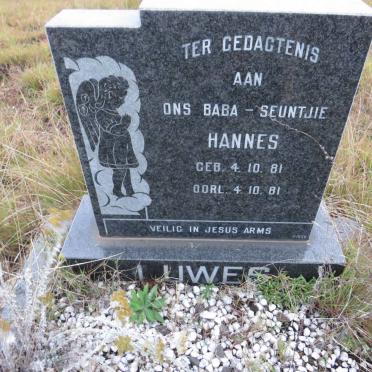 LUWES Hannes 1981-1981