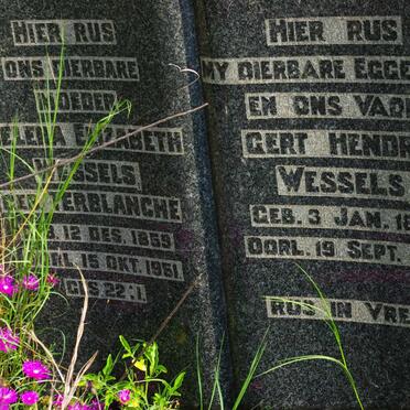 WESSELS Gert Hendrik 1855-1934 &amp; Helena Elizabeth TERBLANCHE 1859-1951