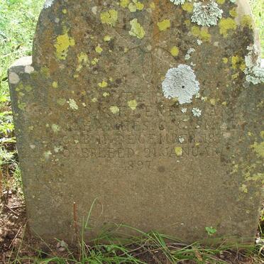 SMAL Johannes G. 1877-1897