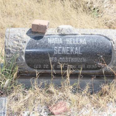 SENEKAL Bartel Wilhelmus van Zyl 1912-1976 &amp; Maria Helena OOSTHUIZEN 1914-1996 :: SENEKAL Barnie 1949-
