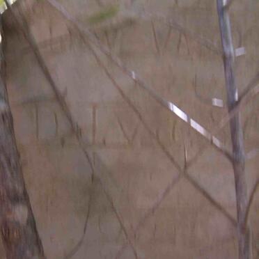 ?? D.L., van