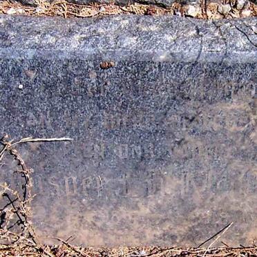 ? Jasper