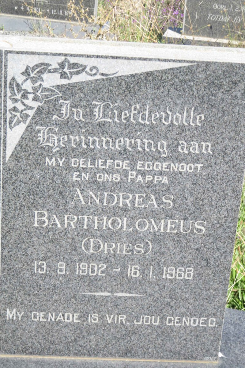 ORLANDINI Andreas Bartholomeus 1902-1968 & Margaretha Elizabeth COERTZEN 1917-1990