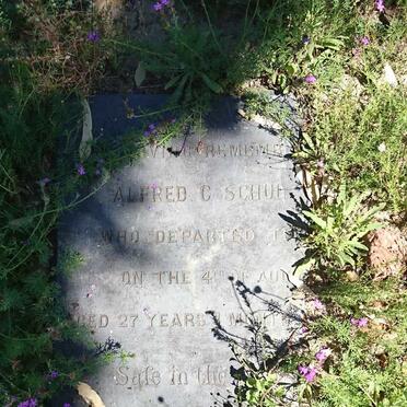 SCHULESS Alfred C. -1881