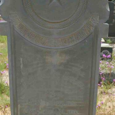 BUYS Willem A. 1851-1933