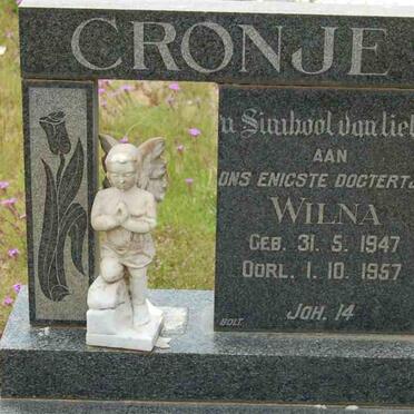 CRONJE Wilna 1947-1957
