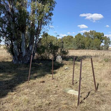 3. Oorsig / Overview