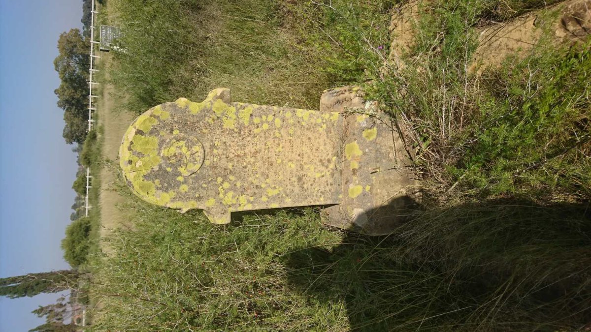 HATTINGH Martha Magdalena nee DE WET 183?-19??