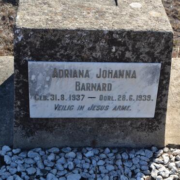 BARNARD Adriana Johanna 1937-1939