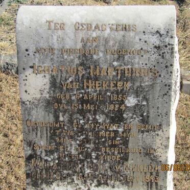 N - Vanne :: Surnames - N