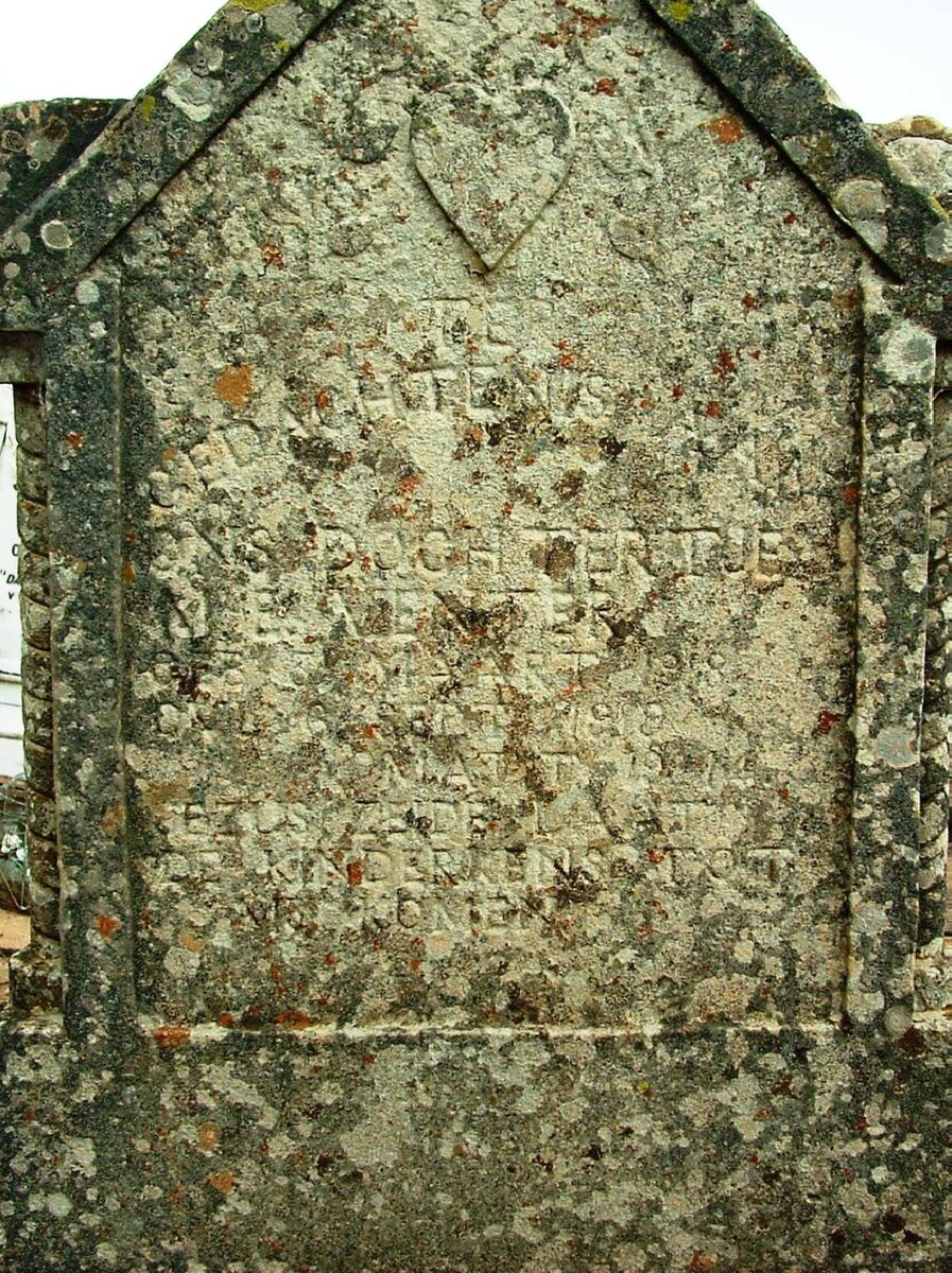 VENTER J.E. 1918-1919