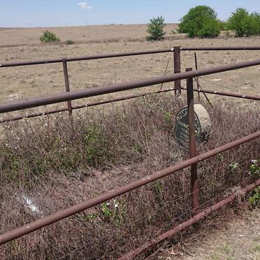 2. Overview / Oorsig